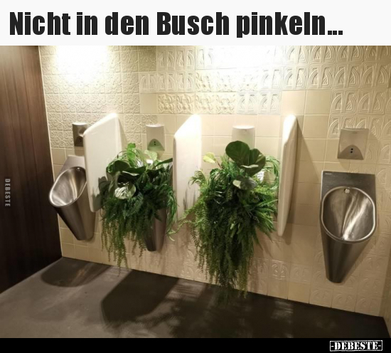 Nicht in den Busch pinkeln... - Lustige Bilder | DEBESTE.de