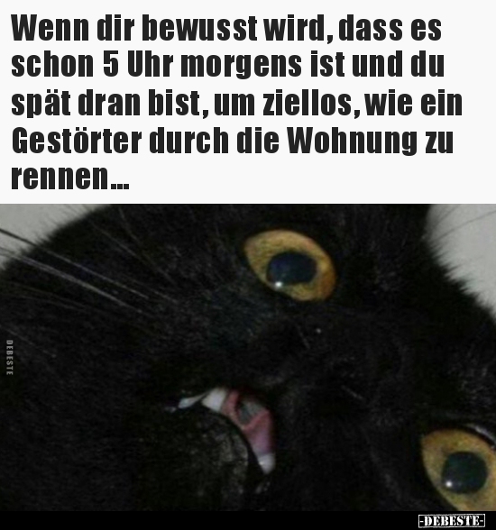 Download Ziellos sprueche HD