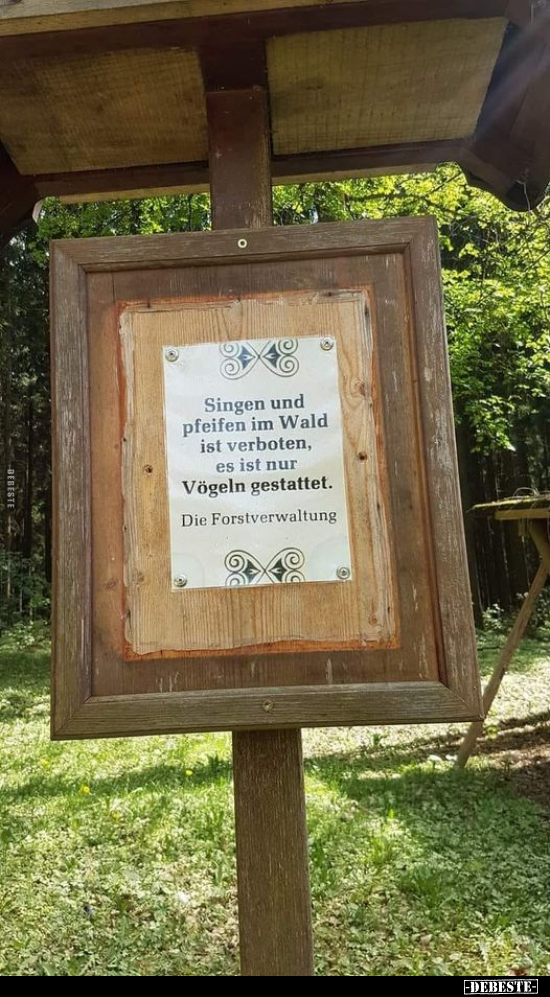 Singen und pfeifen im Wald ist verboten.. - Lustige Bilder | DEBESTE.de