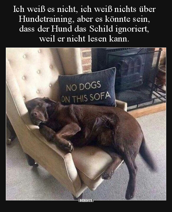 Ich weiß es nicht, ich weiß nichts über Hundetraining.. - Lustige Bilder | DEBESTE.de