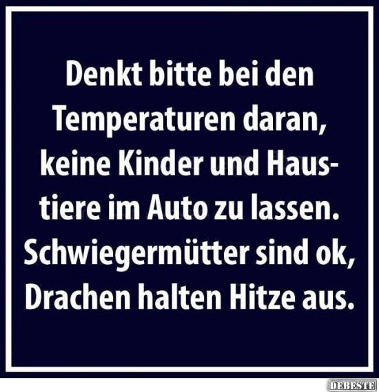 Schwiegermütter bei Hitze im Auto lassen - Lustige Bilder | DEBESTE.de