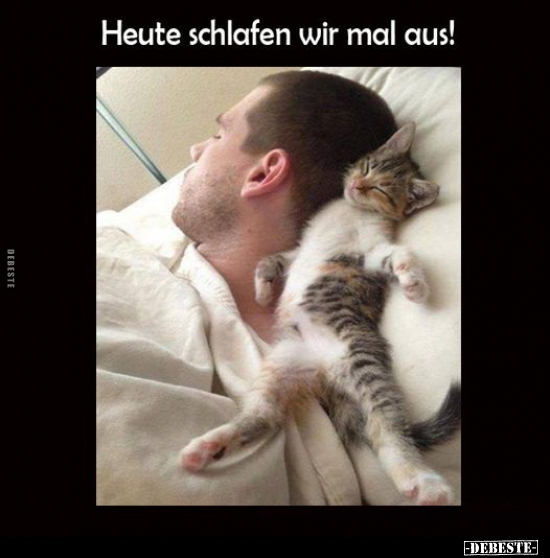 Heute schlafen wir mal aus!.. - Lustige Bilder | DEBESTE.de