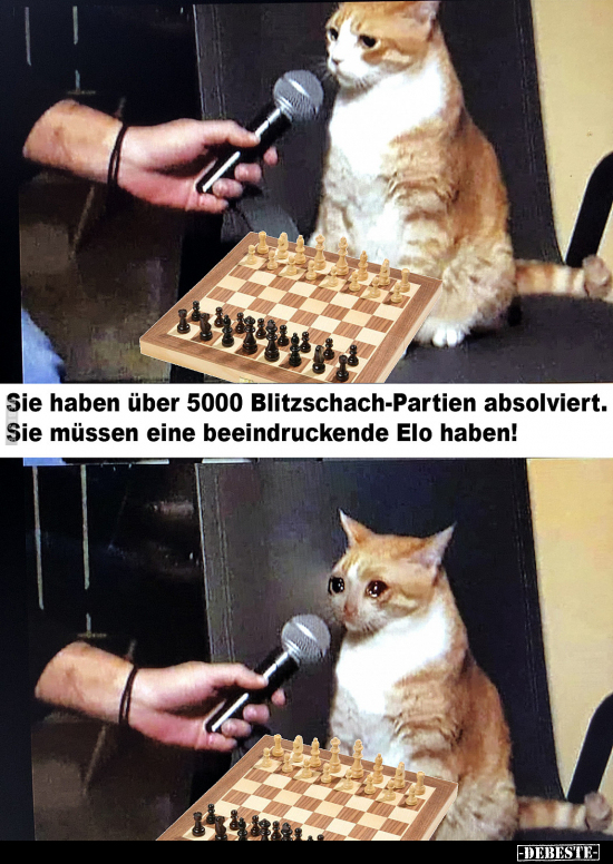 Sie haben über 5000 Blitzschach-Partien absolviert.. - Lustige Bilder | DEBESTE.de