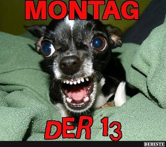 Montag der 13.. - Lustige Bilder | DEBESTE.de