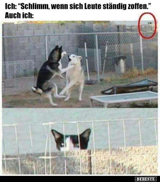 Ich: "Schlimm, wenn sich Leute ständig zoffen.." - Lustige Bilder | DEBESTE.de