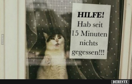 Hilfe ;-) - Lustige Bilder | DEBESTE.de