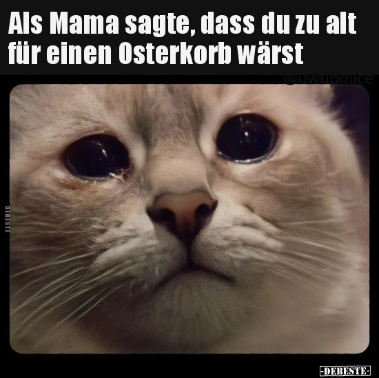 Als Mama sagte, dass du zu alt für einen Osterkorb.. - Lustige Bilder | DEBESTE.de