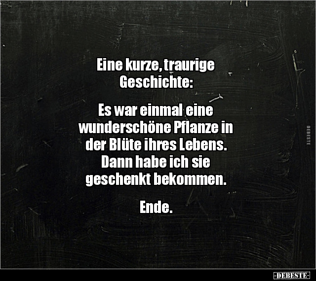 Eine kurze, traurige Geschichte:  Es war einmal eine.. - Lustige Bilder | DEBESTE.de