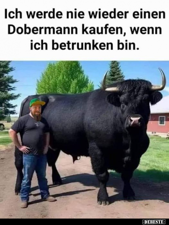 Ich werde nie wieder einen Dobermann kaufen, wenn ich.. - Lustige Bilder | DEBESTE.de