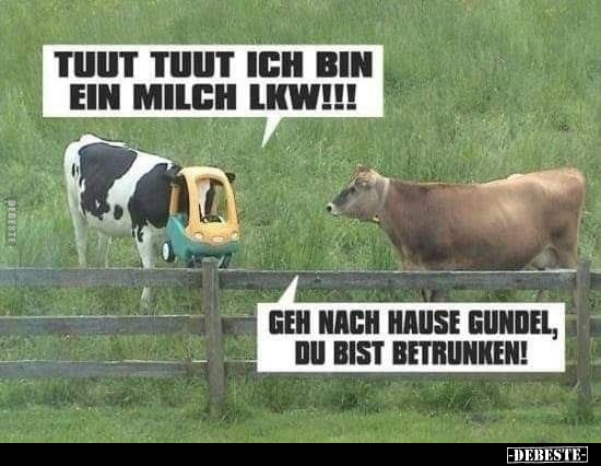Tuut tuut ich bin ein Milch LKW!!!.. - Lustige Bilder | DEBESTE.de
