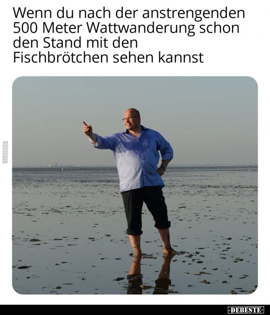 Wenn du nach der anstrengenden 500 Meter Wattwanderung.. - Lustige Bilder | DEBESTE.de