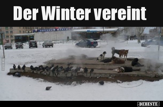 Der Winter vereint.. - Lustige Bilder | DEBESTE.de