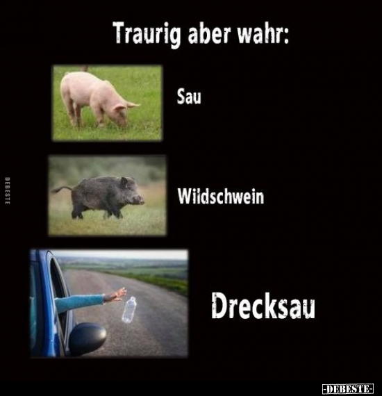 Traurig Aber Wahr DEBESTE De