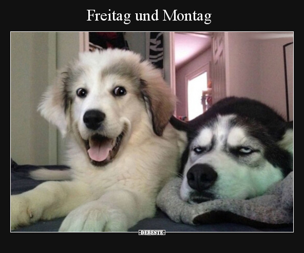 Freitag und Montag.. - Lustige Bilder | DEBESTE.de