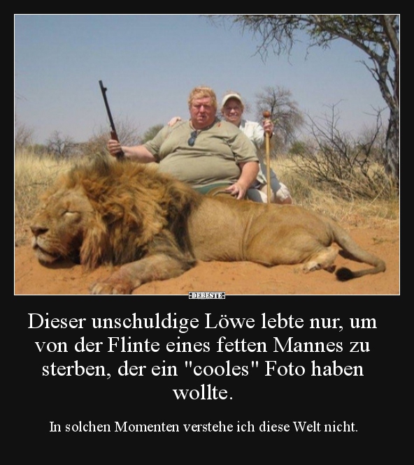 Dieser unschuldige Löwe lebte nur, um von der Flinte eines.. - Lustige Bilder | DEBESTE.de