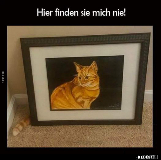 Hier finden sie mich nie!.. - Lustige Bilder | DEBESTE.de