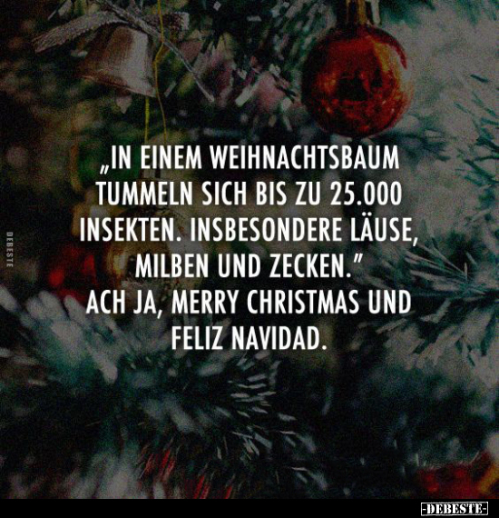 "In einem Weihnachtsbaum.." - Lustige Bilder | DEBESTE.de