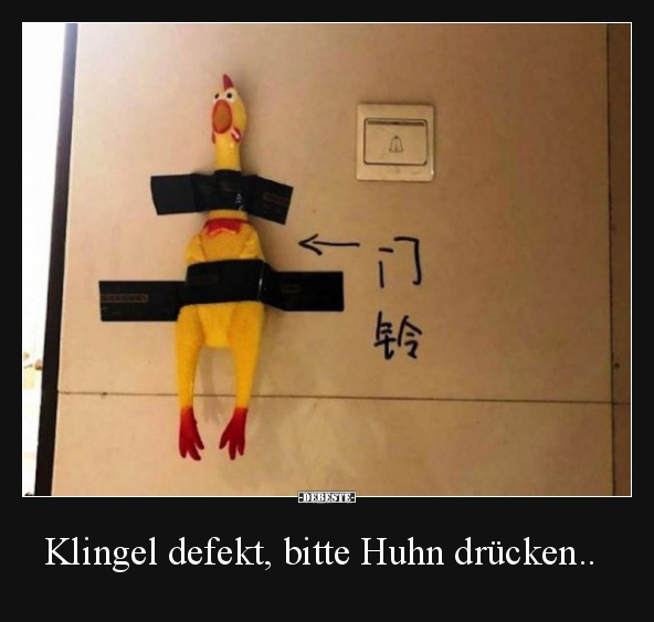 Klingel defekt, bitte Huhn drücken.. - Lustige Bilder | DEBESTE.de