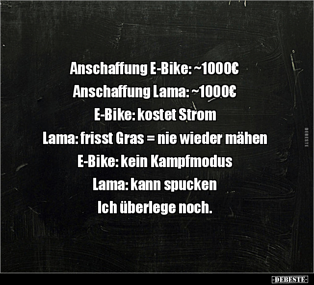 Anschaffung E-Bike: ~1000€... Anschaffung Lama: ~1000€... - Lustige Bilder | DEBESTE.de