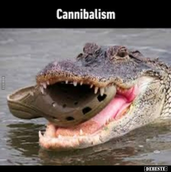 Cannibalism.. - Lustige Bilder | DEBESTE.de