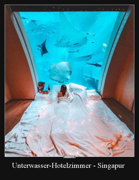Unterwasser-Hotelzimmer - Singapur. - Lustige Bilder | DEBESTE.de