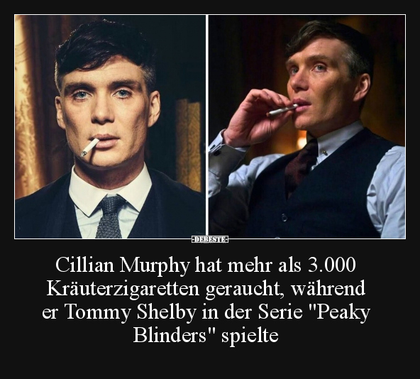 Cillian Murphy hat mehr als 3.000 Kräuterzigaretten.. - Lustige Bilder | DEBESTE.de
