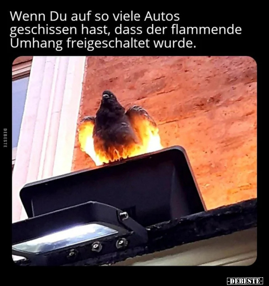 Wenn Du auf so viele Autos geschissen hast, dass der.. - Lustige Bilder | DEBESTE.de