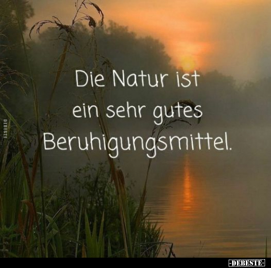 Die Natur ist ein sehr gutes Beruhigungsmittel... - Lustige Bilder | DEBESTE.de
