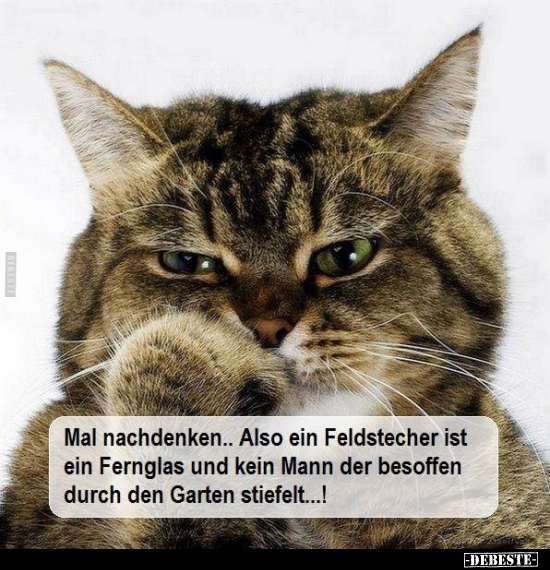 Mal nachdenken.. Also ein Feldstecher ist ein Fernglas.. - Lustige Bilder | DEBESTE.de