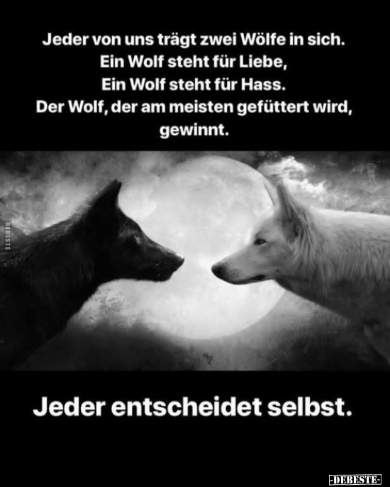 Jeder von uns trägt zwei Wölfe in sich.. - Lustige Bilder | DEBESTE.de