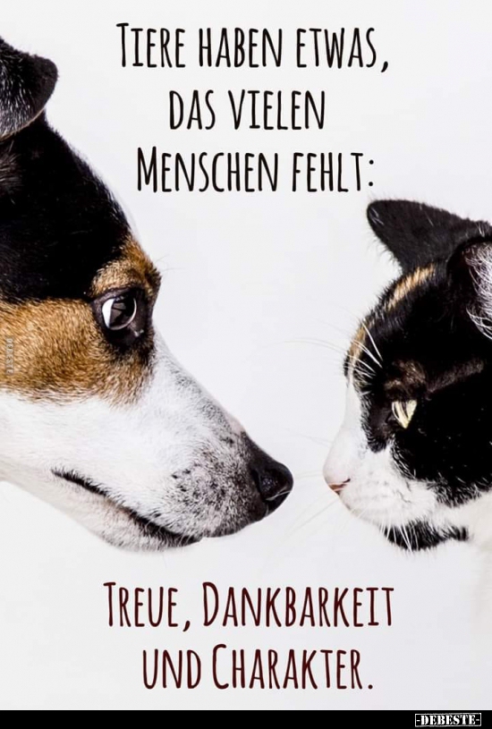 Tiere haben etwas, das vielen Menschen fehlt.. - Lustige Bilder | DEBESTE.de