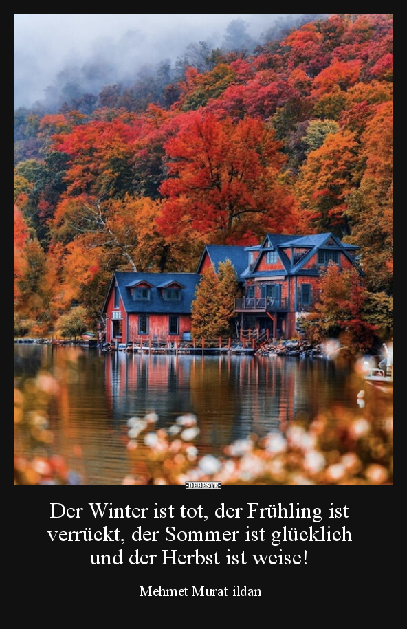 Der Winter ist tot, der Frühling ist verrückt, der Sommer.. - Lustige Bilder | DEBESTE.de