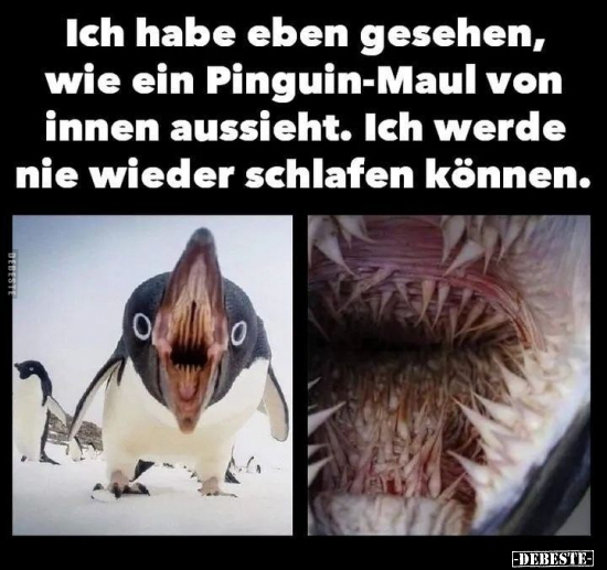 Ich habe eben gesehen, wie ein Pinguin-Maul von innen.. - Lustige Bilder | DEBESTE.de