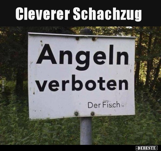 Cleverer Schachzug.. - Lustige Bilder | DEBESTE.de