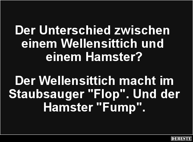 Der Unterschied zwischen einem Wellensittich und einem Hamster? - Lustige Bilder | DEBESTE.de