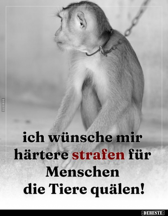 Ich wünsche mir härtere strafen für Menschen.. - Lustige Bilder | DEBESTE.de