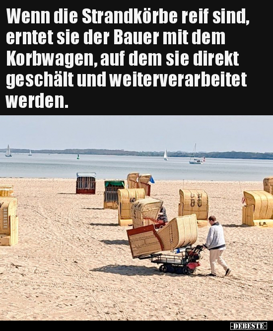 Wenn die Strandkörbe reif sind, erntet sie der Bauer.. - Lustige Bilder | DEBESTE.de