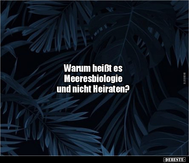 Warum heißt es Meeresbiologie und nicht Heiraten?.. - Lustige Bilder | DEBESTE.de