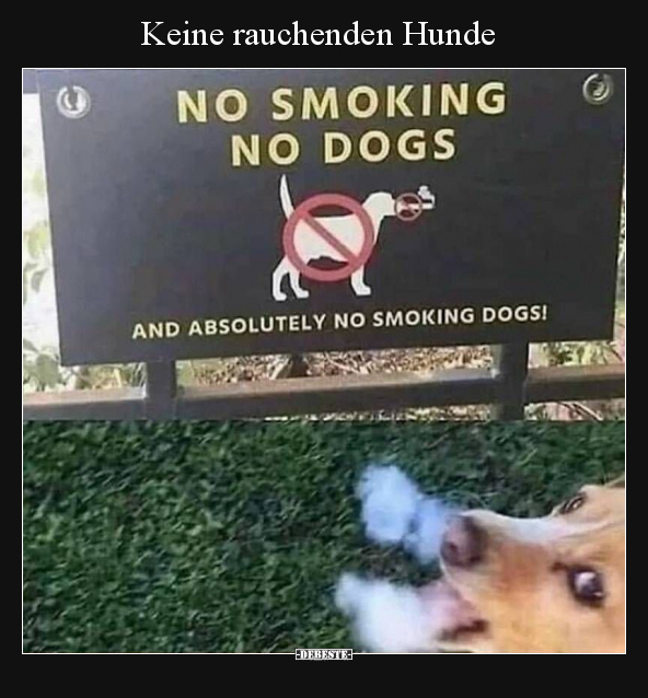 Keine rauchenden Hunde.. - Lustige Bilder | DEBESTE.de