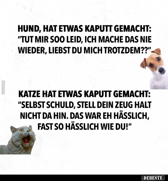 Hund hat etwas kaputt gemacht: "Tut mir soo leid, ich mache.." - Lustige Bilder | DEBESTE.de