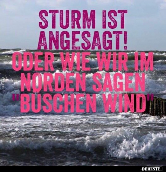 Sturm ist angesagt! Oder wie wir im Norden sagen "Buschen.." - Lustige Bilder | DEBESTE.de