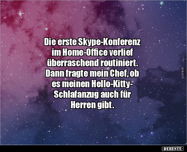 Die erste Skype-Konferenz im Home-Office verlief.. - Lustige Bilder | DEBESTE.de
