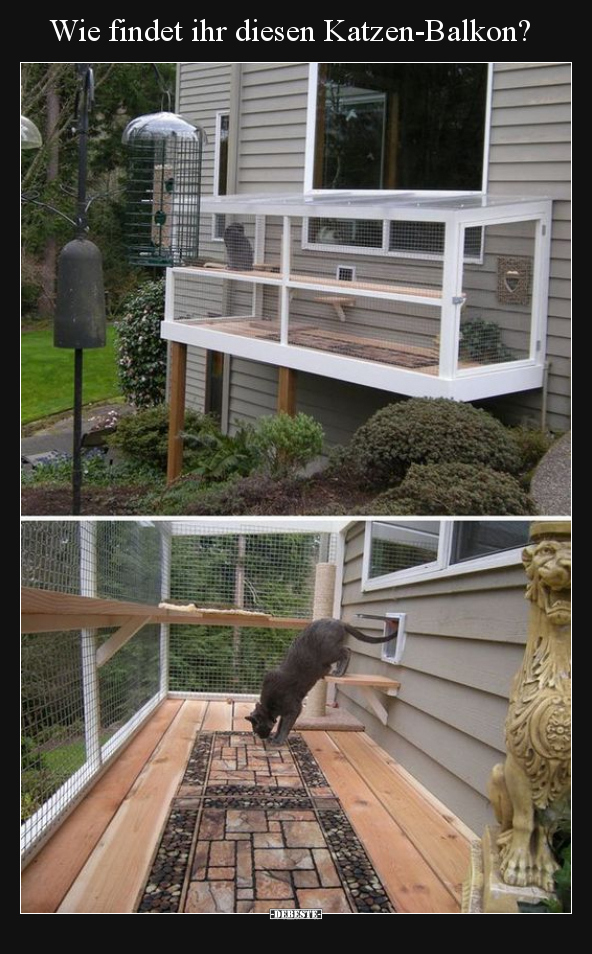 Wie findet ihr diesen Katzen-Balkon?.. - Lustige Bilder | DEBESTE.de