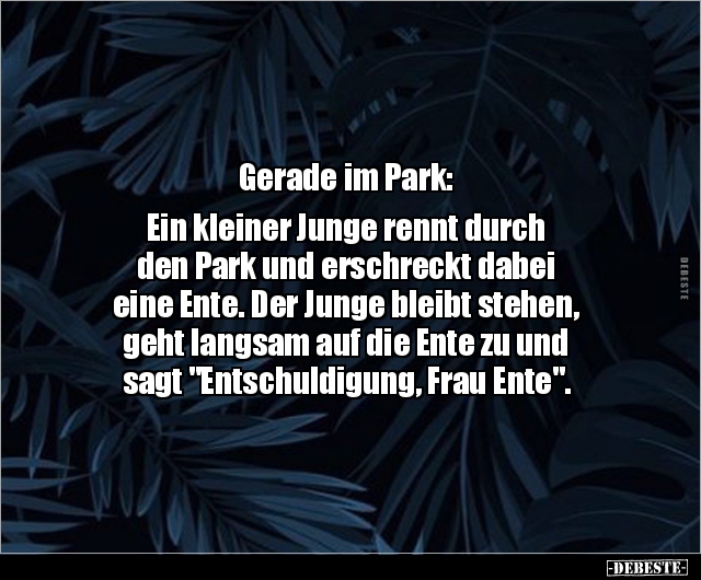 Gerade im Park: Ein kleiner Junge rennt durch  den Park.. - Lustige Bilder | DEBESTE.de