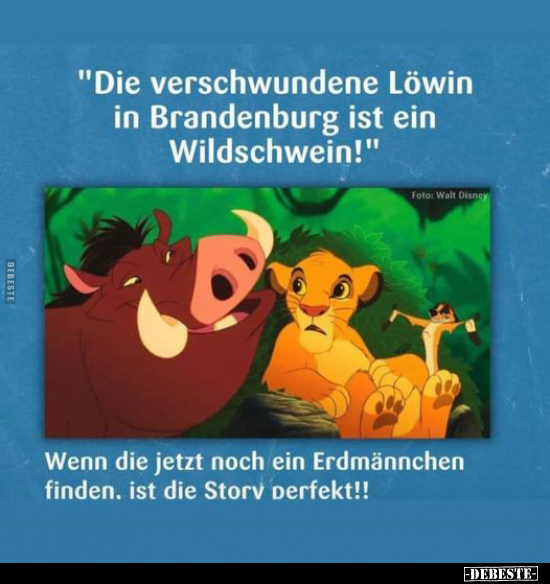 "Die verschwundene Löwin in Brandenburg ist ein..".. - Lustige Bilder | DEBESTE.de