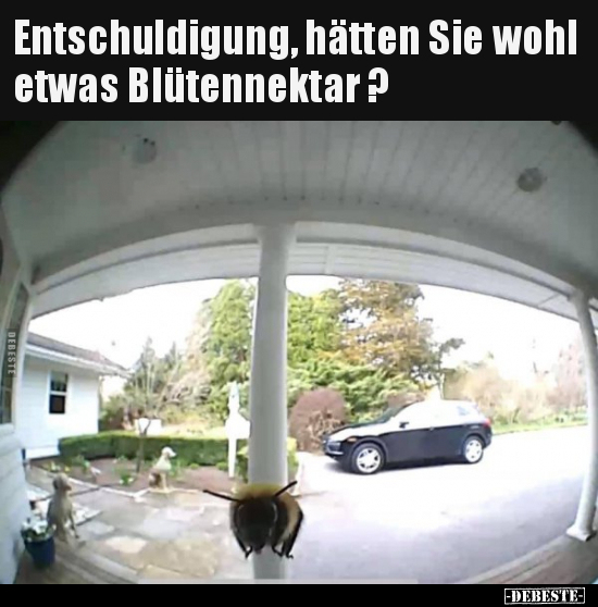 Entschuldigung, hätten Sie wohl etwas Blütennektar ? - Lustige Bilder | DEBESTE.de