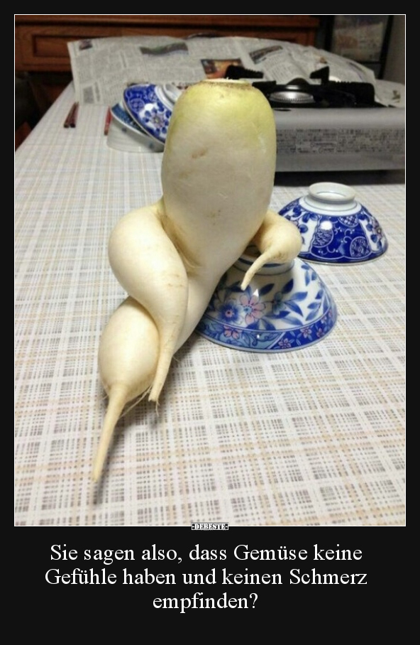 Sie sagen also, dass Gemüse keine Gefühle haben und.. - Lustige Bilder | DEBESTE.de