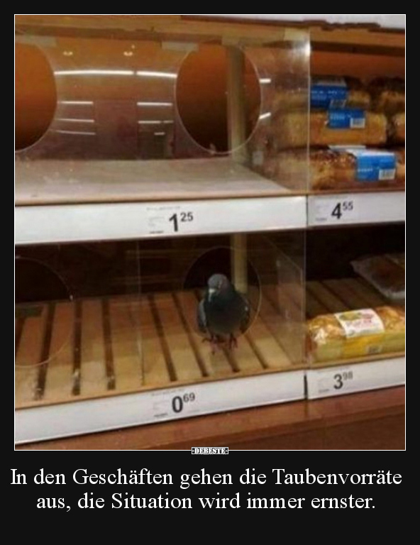 In den Geschäften gehen die Taubenvorräte aus, die.. - Lustige Bilder | DEBESTE.de