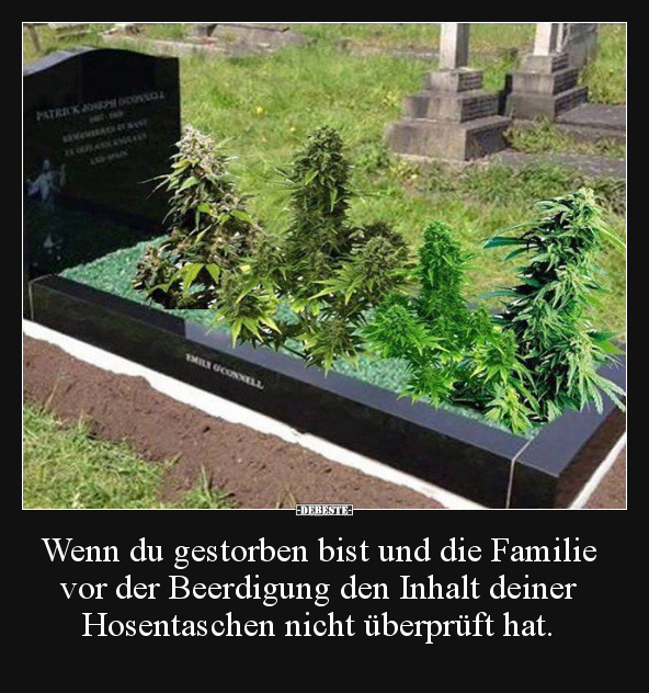 Wenn du gestorben bist und die Familie vor der Beerdigung.. - Lustige Bilder | DEBESTE.de