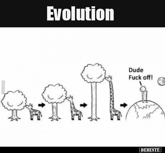 Evolution.. - Lustige Bilder | DEBESTE.de